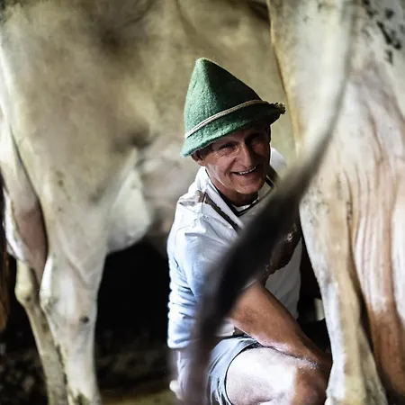 Schrannenhof שופרנאו