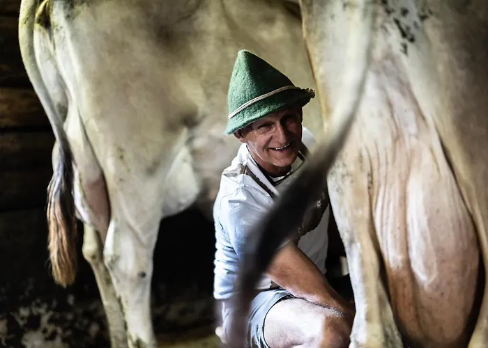 Schrannenhof Schoppernau